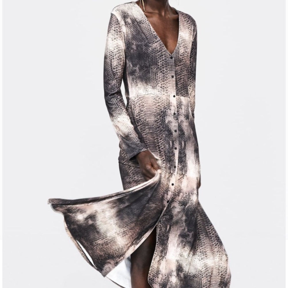 Brand New Zara Snake print dress!